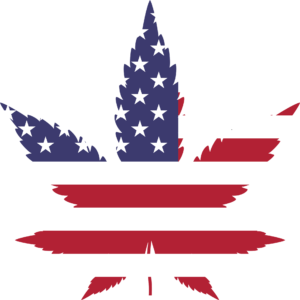 Decriminalizing Marijuana on Assembly Agenda for June 18 Vote